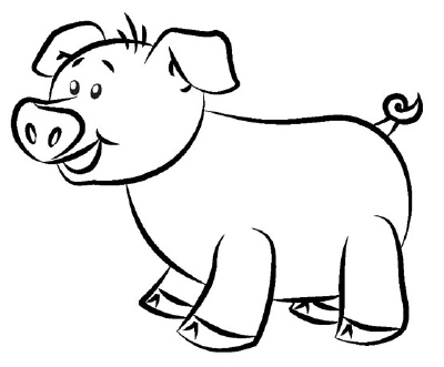 The illustrations used in this 5 step guide on how to draw a cartoon pig 